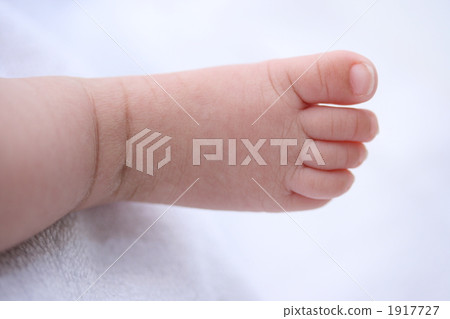 右腿 右腳 身體部位 1917727