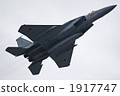 eagle, fighter plane, warplane 1917747