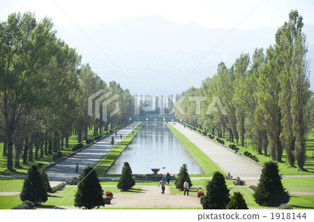 A park with trees 1918144