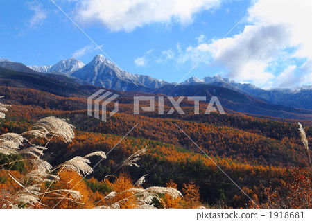 Autumn leaves of Yatsugatake and larch of the first crown Autumn leaves of Yatsugatake and larch of the first crown 1918681