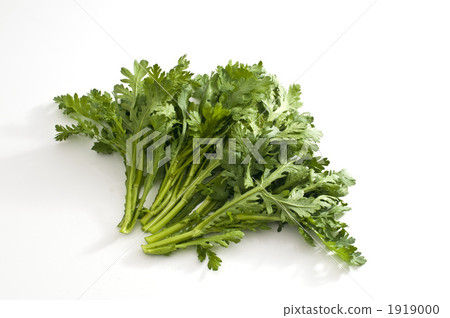 shungiku, garland chrysanthemum, food 1919000