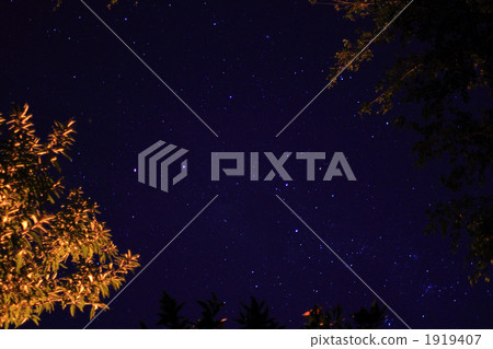 南十字星座 澳大利亞 澳洲 1919407