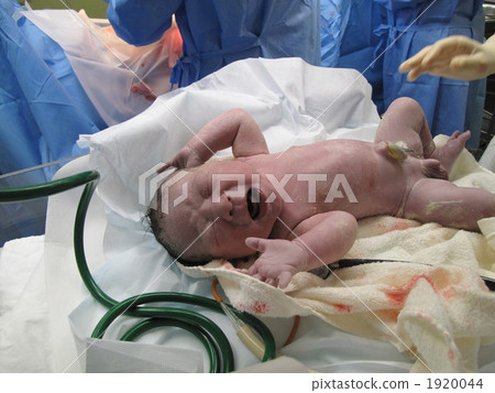 分娩 新生兒 baby 1920044