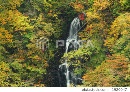 Autumnal leaves Zao Autumnal leaves Zao 1920047