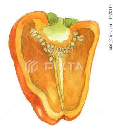 Paprika Orange color Paprika Orange color 1920114