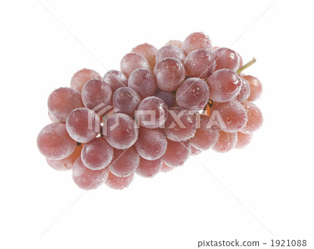 grape, vine, fruit 1921088