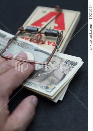 Bundle and catching rat Bundle and catching rat 1921634