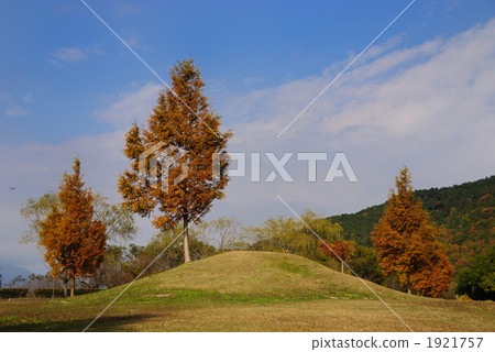 Autumn leaves and blue sky 1921757