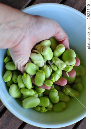 broad bean, fava bean, spring vegetables 1922340