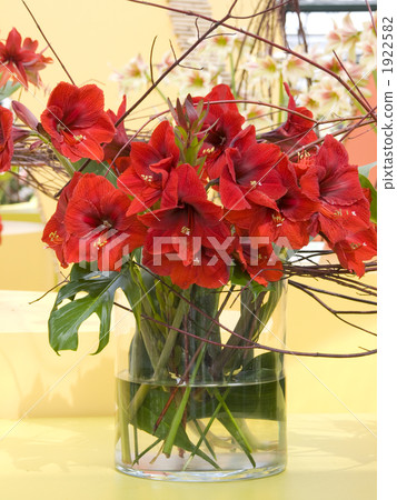 孤挺花插花 孤挺花插花 1922582