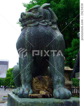 在淺草神社的動物監護人狗 在淺草神社的動物監護人狗 1923838