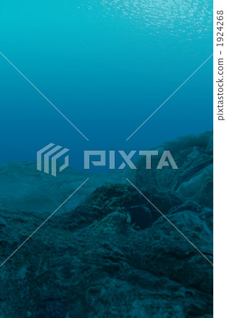 In the sea (fake) In the sea (fake) 1924268