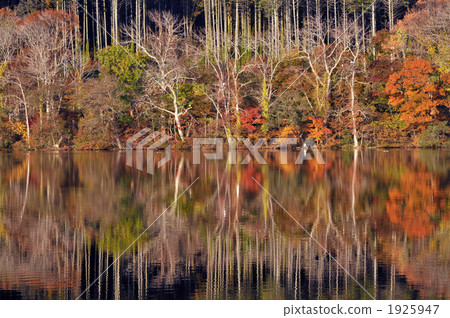 Kinshu的馬球湖 Kinshu的馬球湖 1925947