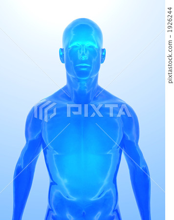 Human body image 1926244