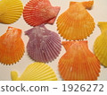 巨蟹 1926272