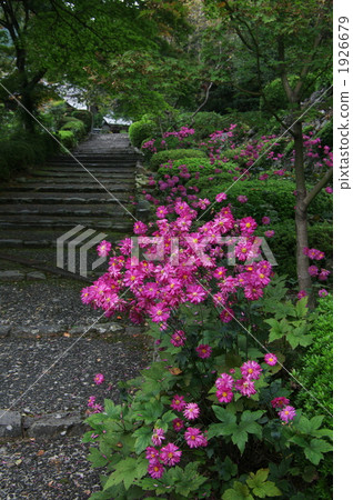 Colors of stone steps Colors of stone steps 1926679