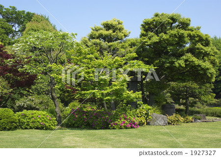 Kiyosumi garden (d 0 90429 - 002) Kiyosumi garden (d 0 90429 - 002) 1927327