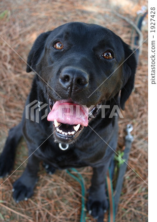 一種愛 一種愛 1927428