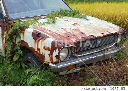 scrap scrap 1927465