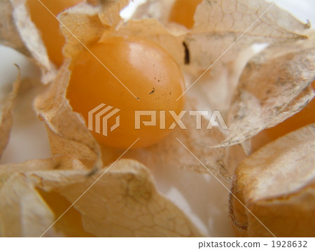 Hokki tomato Hokki tomato 1928632