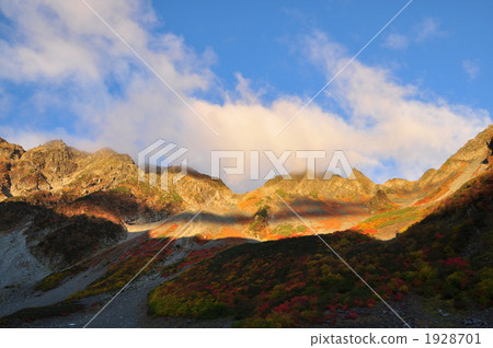 Fukuzawa curl's autumn leaves Fukuzawa curl's autumn leaves 1928701