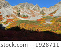 Fukuzawa curl's autumn leaves 1928711