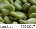 broad bean, faba bean, food 1928817
