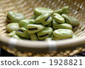 broad bean, faba bean, food 1928821