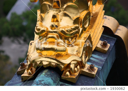 Golden brown 1930062