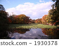 Onuma quorum公園在秋天 1930378