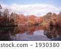 秋天大沼 1930380