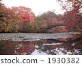 Onuma quorum公園在秋天 1930382