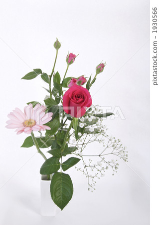 紅玫瑰,粉紅色非洲菊等的安排。 紅玫瑰,粉紅色非洲菊等的安排。 1930566