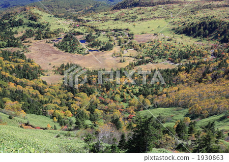Yoshigataira Yoshigataira 1930863