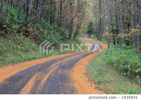 S-curve S-curve 1930891