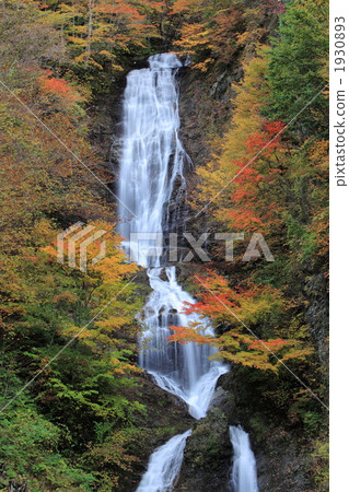 Autumn leaves of Karasawa Falls 1930893