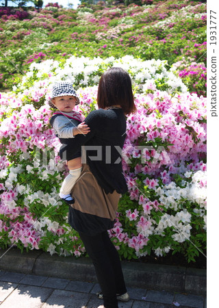 杜鵑花回來了 杜鵑花回來了 1931777