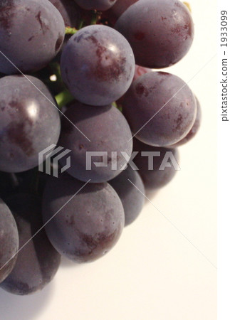 葡萄 1933099