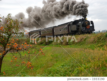 Fall 2010 Todami Line SL Part 2 1933190