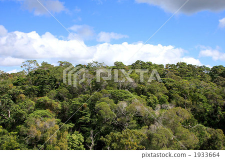 Australia · Kuranda 1933664