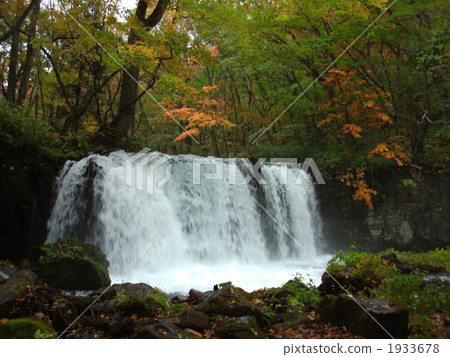 秋葉的Choshi Otori 秋葉的Choshi Otori 1933678