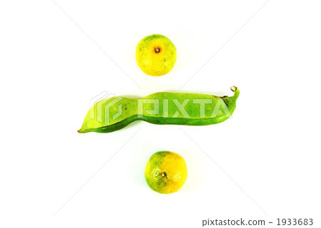 Natamome with sheath and mandarin oranges 1933683