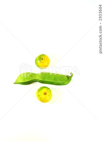 Natamome with sheath and mandarin oranges 1933684