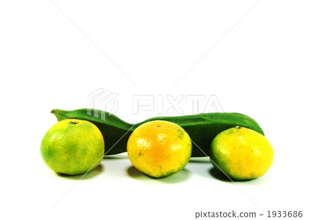 Natamome with sheath and mandarin oranges 1933686