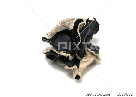 Dry wooden front and back 1933692