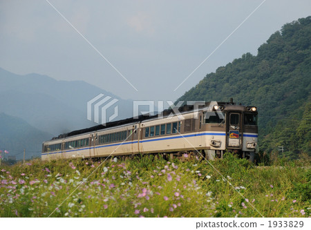 181系列 海風 浜風 1933829