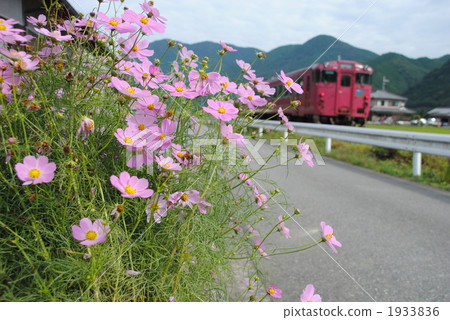 kiha 40, jr nishinihon, west japan railway co. 1933836