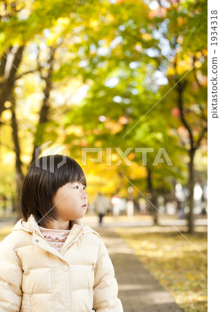 銀杏和女孩 1934318