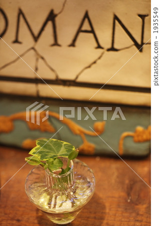sundries, leaf, leaves 1935549