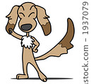 miniature dachshund, animal, animals 1937079